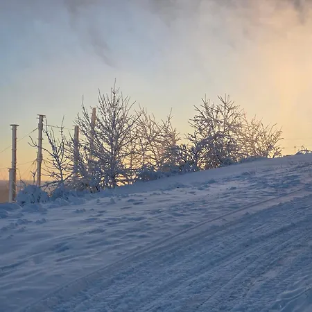 Bergzauber Sauna, Bikerpark 빈터베르크