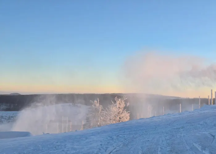 Bergzauber Sauna, Bikerpark 아파트